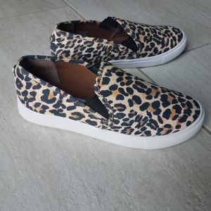 NWT Steve Madden Leopard Sneaker sz 8.5